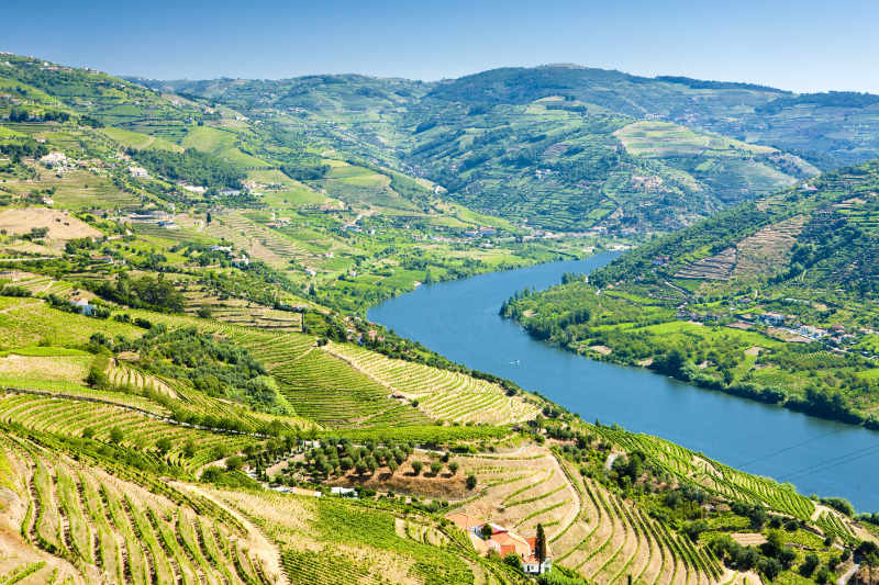 Douro river view from Mesão Frio